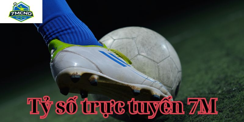 Chuyên gia 7M cập nhật tỷ số liên tục