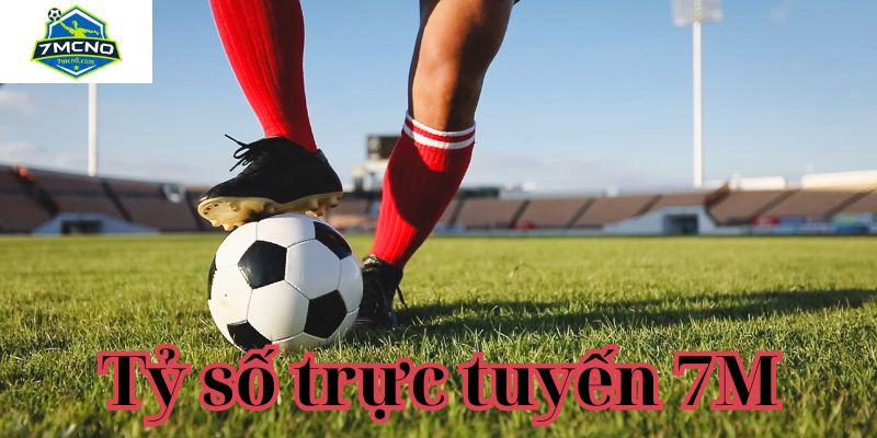 Tỷ số trực tuyến 7M là gì